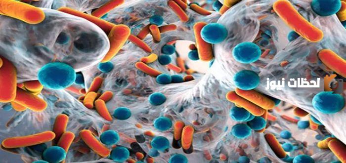 ماهي أنواع الامراض الجرثومية ونواقل الأمراض المعدية