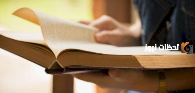 ما هي خصائص نظرية النظم وعلى ماذا تطبق النظرية