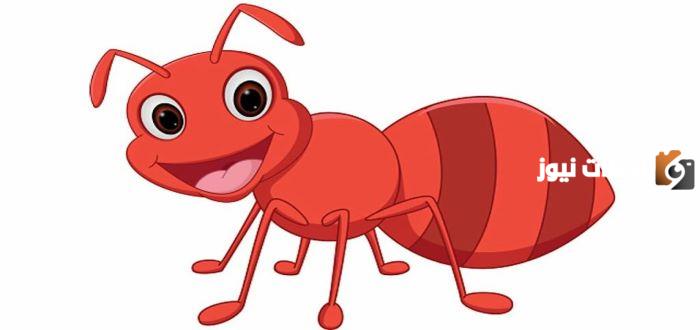 نكت عن النمل مضحكه جدا
