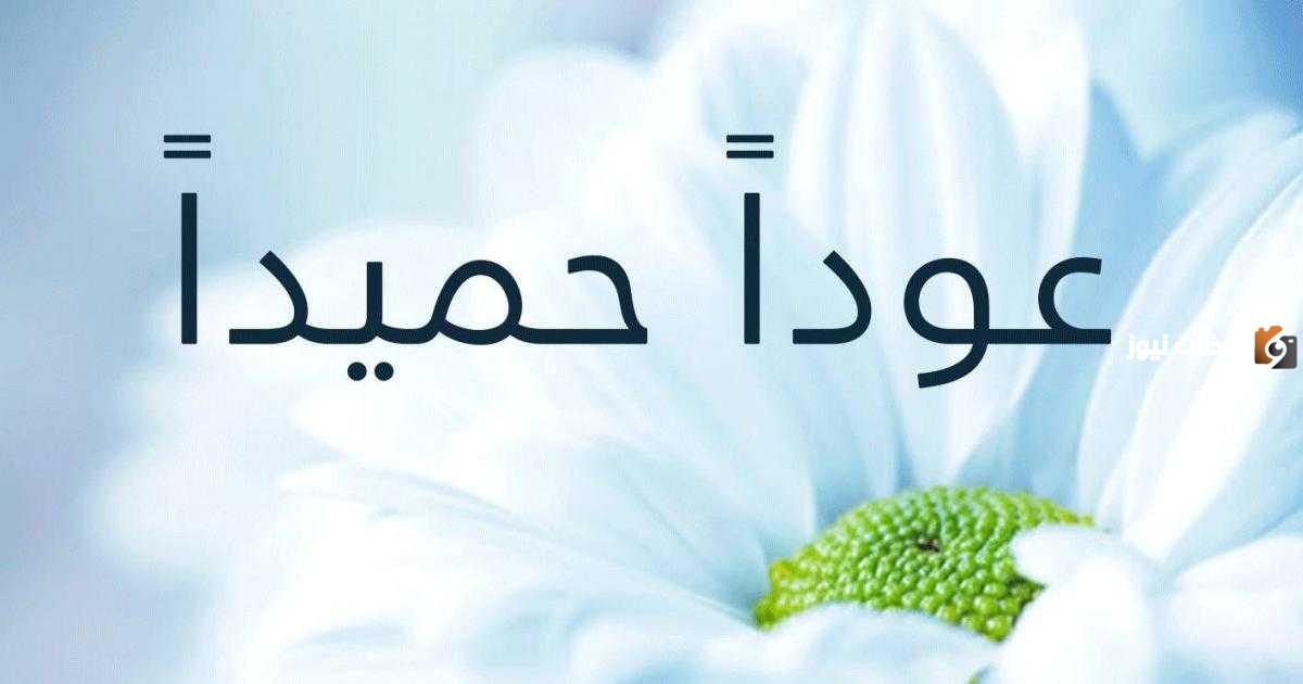 وش الرد على كلمة عودًا حميدًا.. معنى عودا حميدا