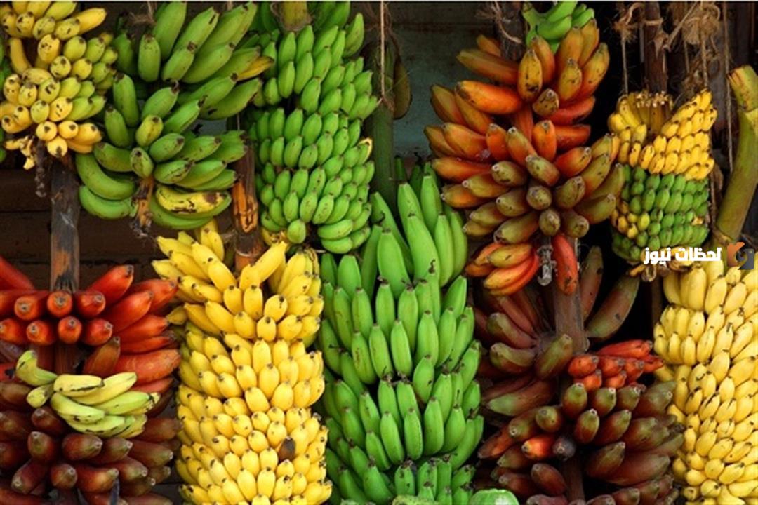 إليك أنواع الموز وفوائد كل نوع