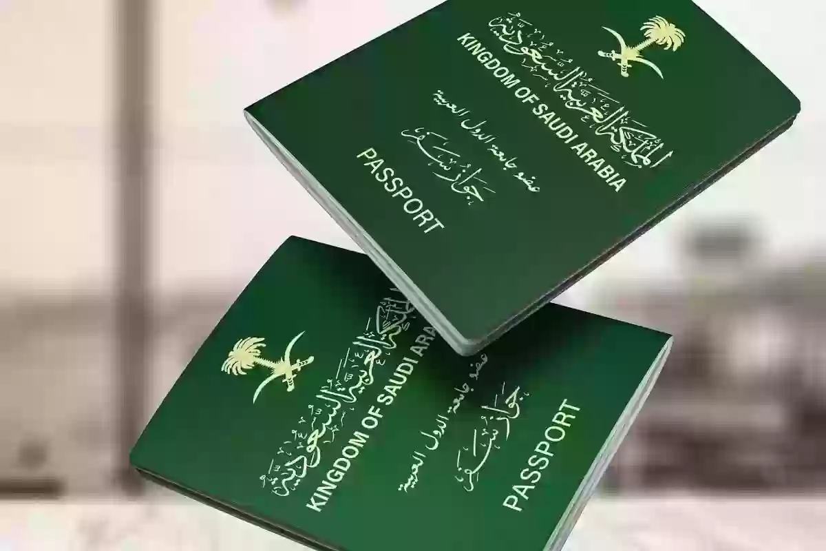 خطوات الاستعلام عن التأشيرة