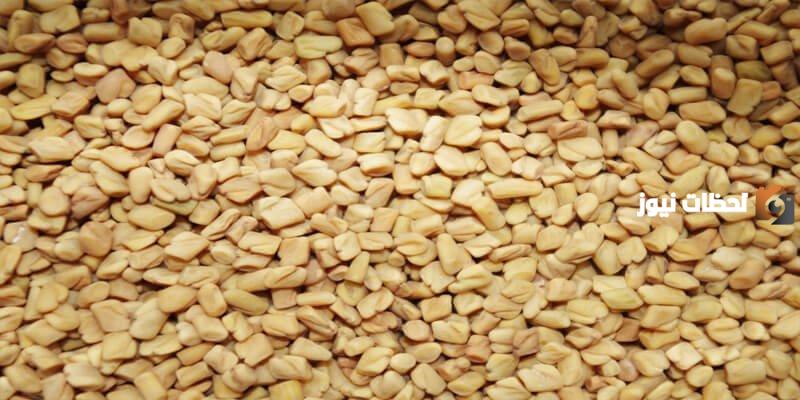 طرق لزيادة الوزن في أسبوع بالحلبة