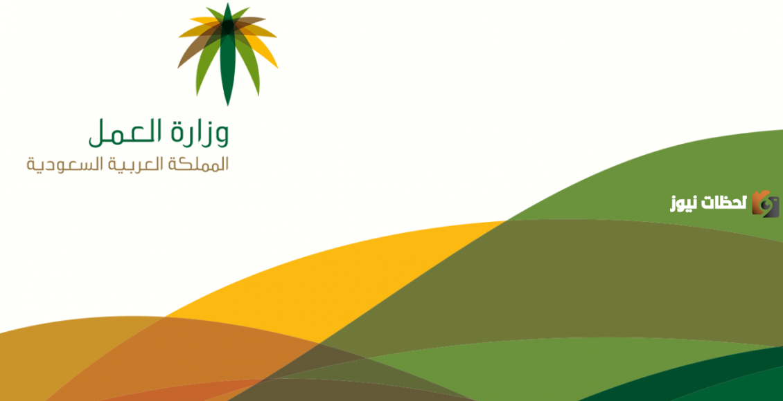 كيف يتم نقل الكفالة في النظام الجديد