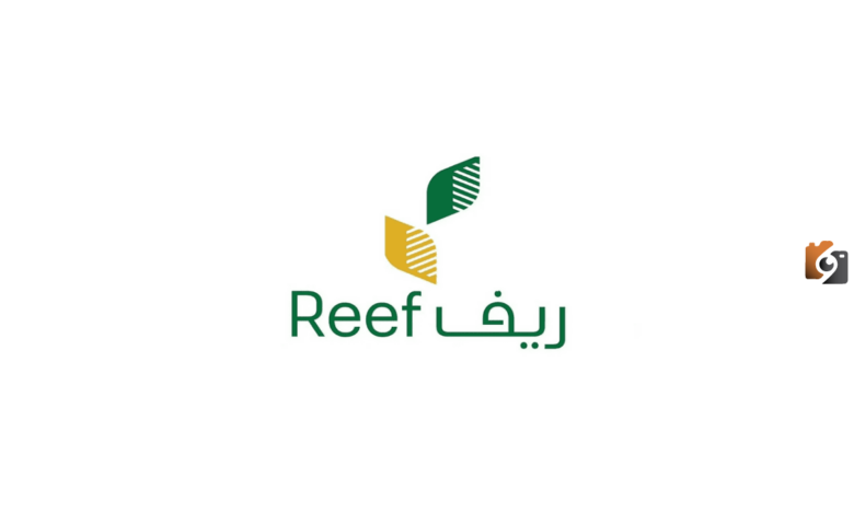 مساعدة مالية تصل إلى 54 ألف ريال | منصة ريف تُقدم الدعم لجميع الفئات المستحقة وهذه طريقة التسجيل على المنصة كمستفيد