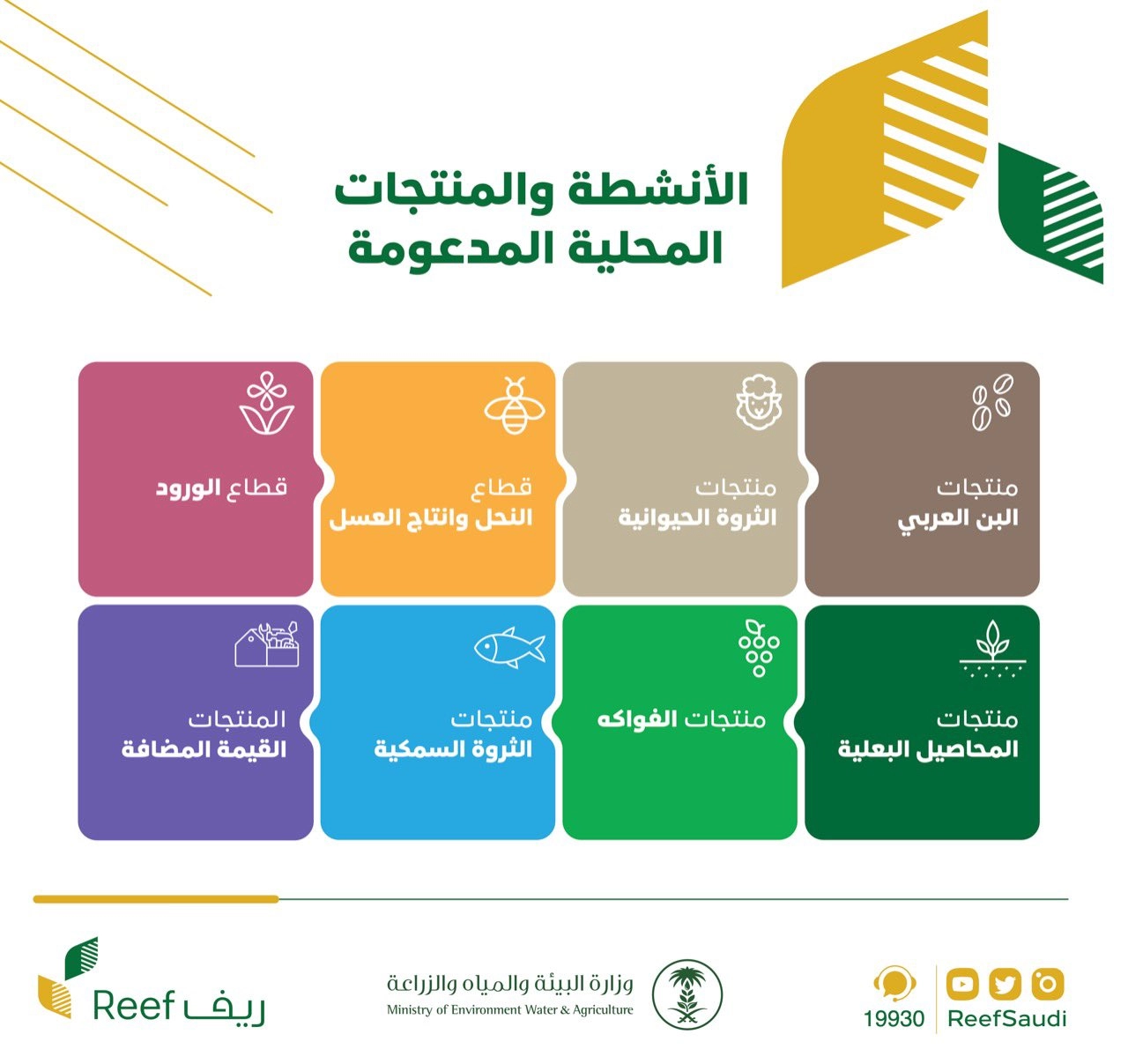 دعم ريف