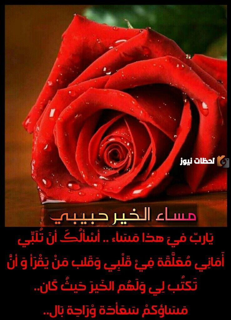  رسائل مساء الخير للعشاق