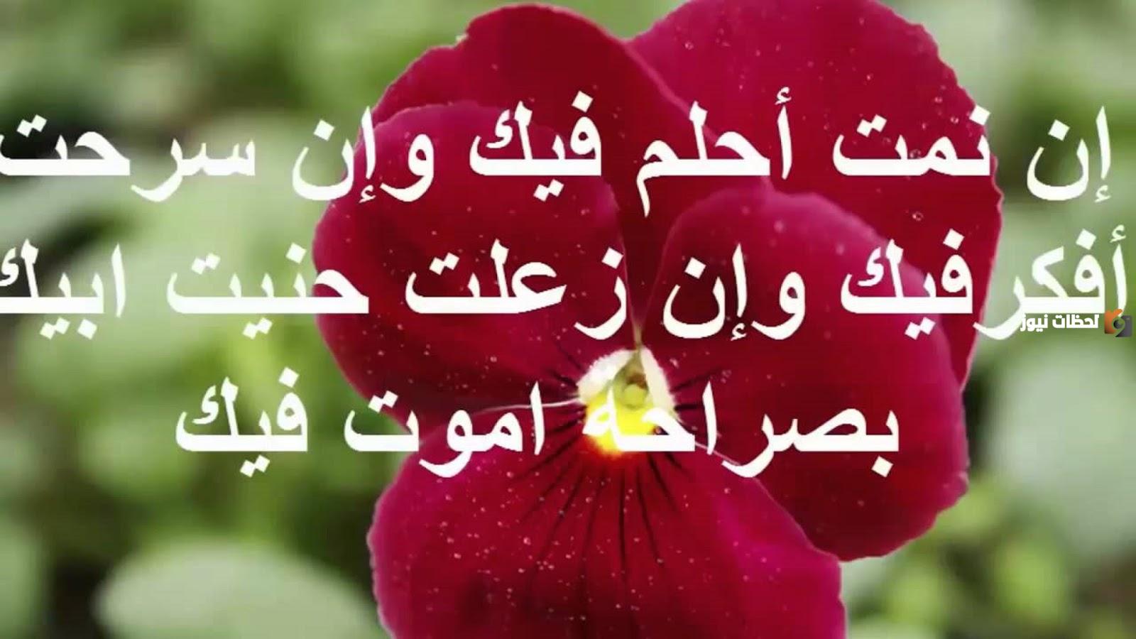  رسائل حب وغرام 