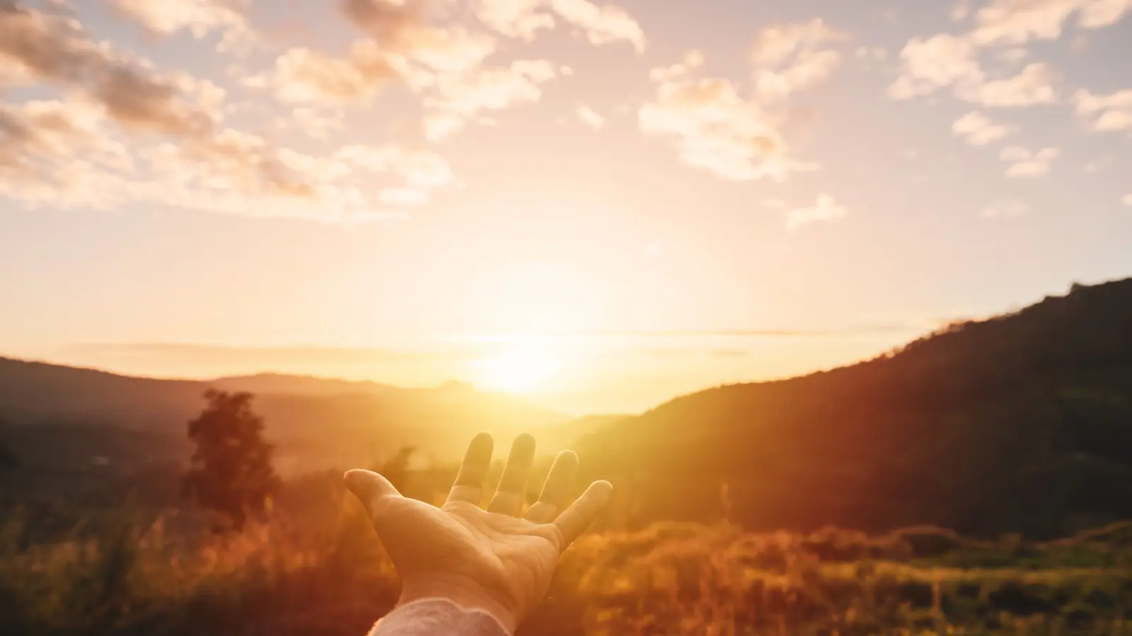 40 رسائل صباح الخير للحبيب قصيرة أجمل مسجات صباح الخير للأصدقاء 2025