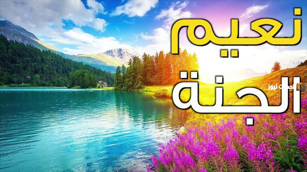 ما هو نعيم الجنة