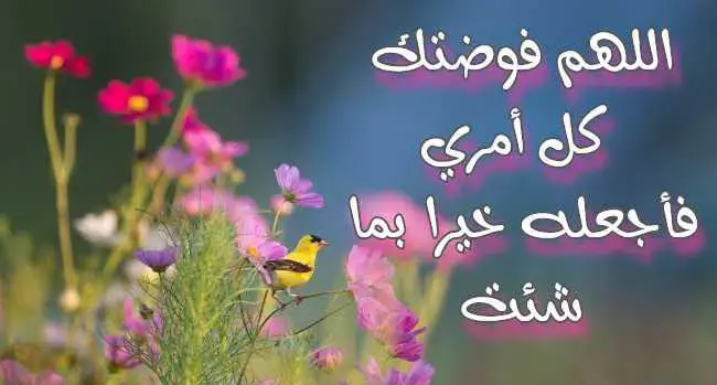  مسجات ادعية دينية صباحية