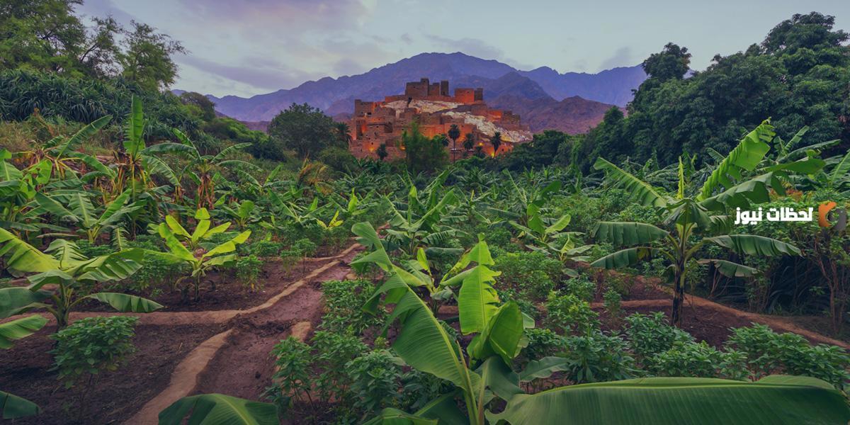  مبادرة السعودية الخضراء 