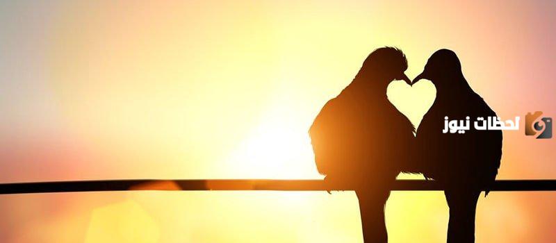 أبيات شعرية رومانسية