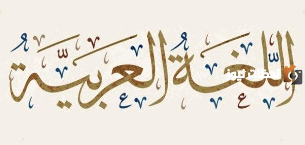 أشهر علماء اللغة العربية