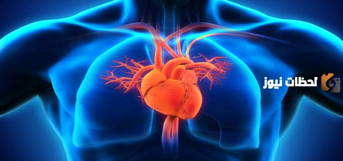 الأذينين والبطينين في القلب