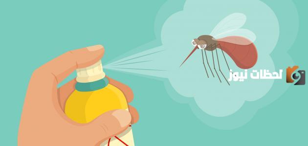 الحشرات الطائرة