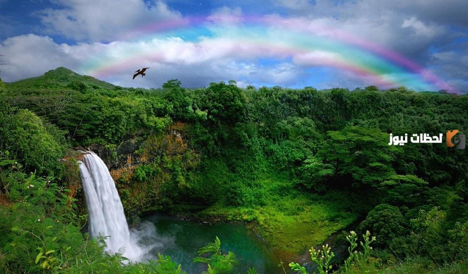 المناطق الاستوائية