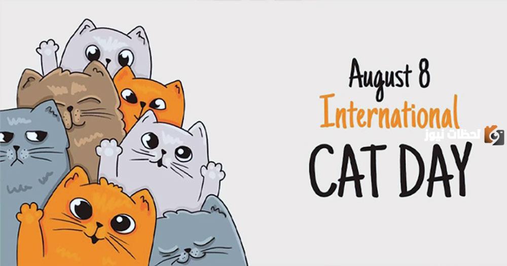 اليوم العالمي للقطط