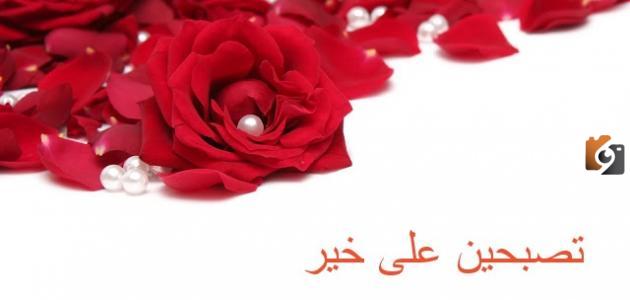 تصبح على خير يالغالي