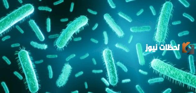 تكاثر البكتيريا بالاقتران
