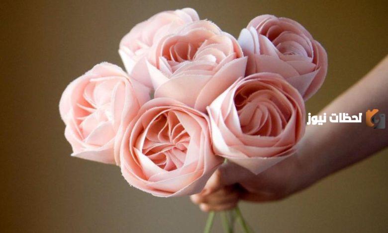 جميع أنواع الورود المشهورة وأسماؤها