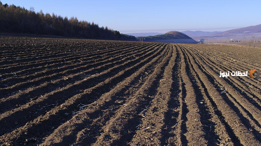 حماية التربة