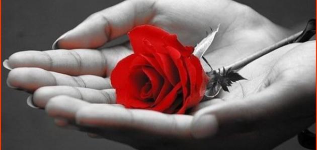 خواطر راقية صباحية