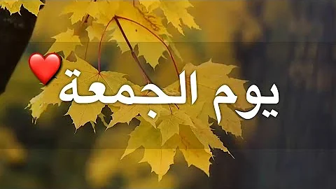 خواطر عن الجمعة