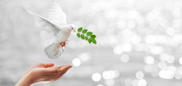 خواطر عن حمامة السلام