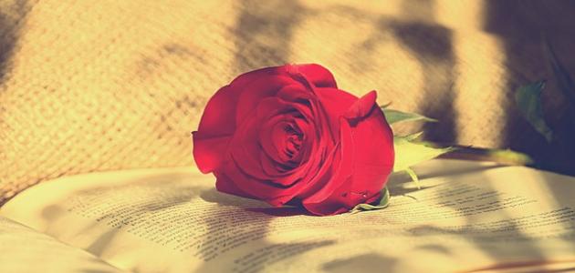 خواطر عيد ميلاد قصيرة لحبيبتي