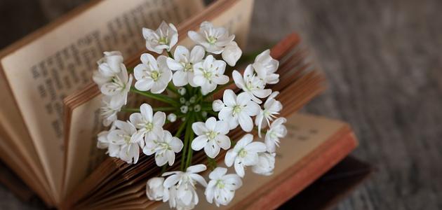 خواطر يوم الجمعة مزخرفة خواطر يوم الجمعة مزخرفة