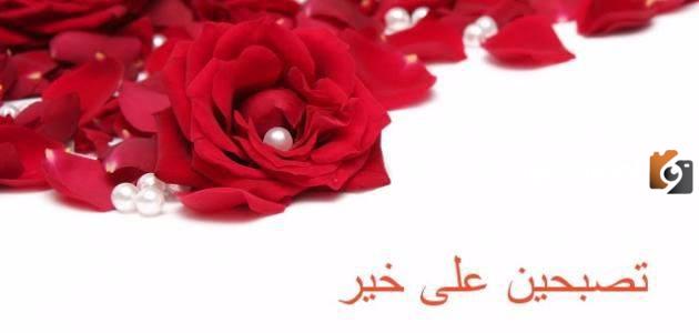 رسائل تصبح على خير للاصدقاء