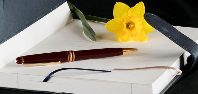 رسالة إلى صديقي الغائب