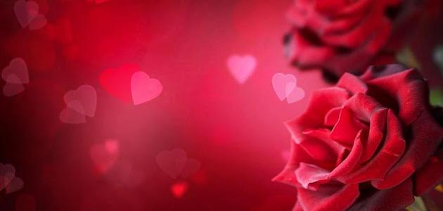 إليك شعر جميل عن الحب