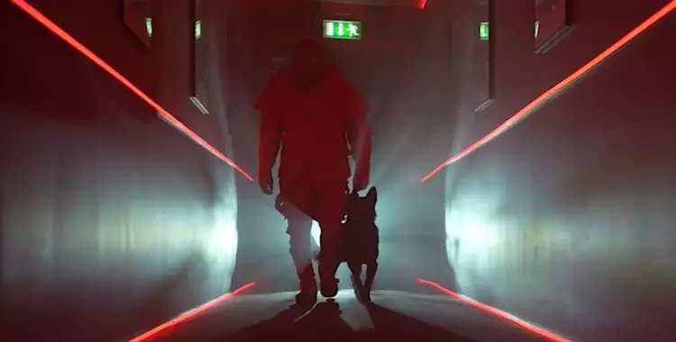 ضيوف برنامج رامز جاب من الآخر