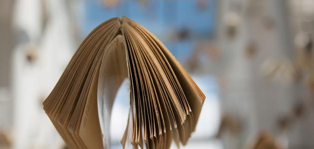 عبارات عن ذكريات المدرسة الجميلة