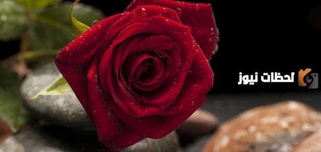 عبارات مسائية دينية