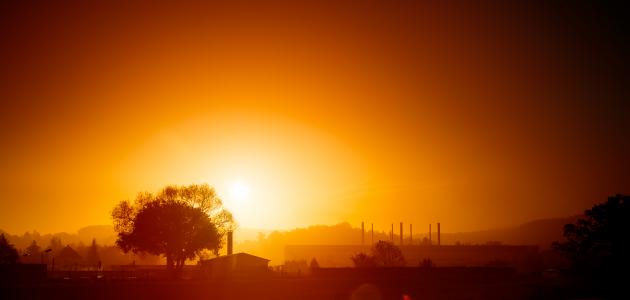 مسجات مساء الورد والياسمين