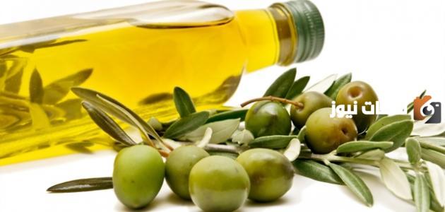 موضوع عن قطف الزيتون وزيت الزيتون كامل مع العناصر