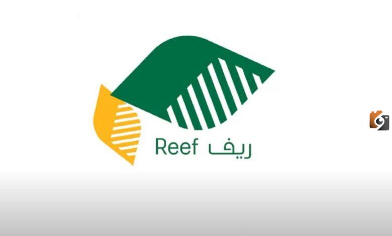 الاستعلام عن دعم ريف