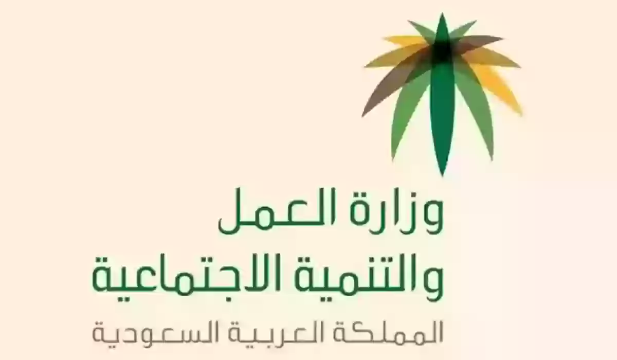 الفئات المستفيدة من التأهيل الشامل في السعودية 