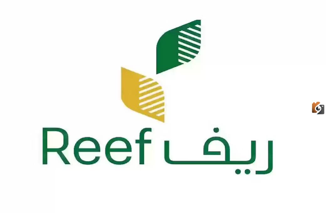 ريف 