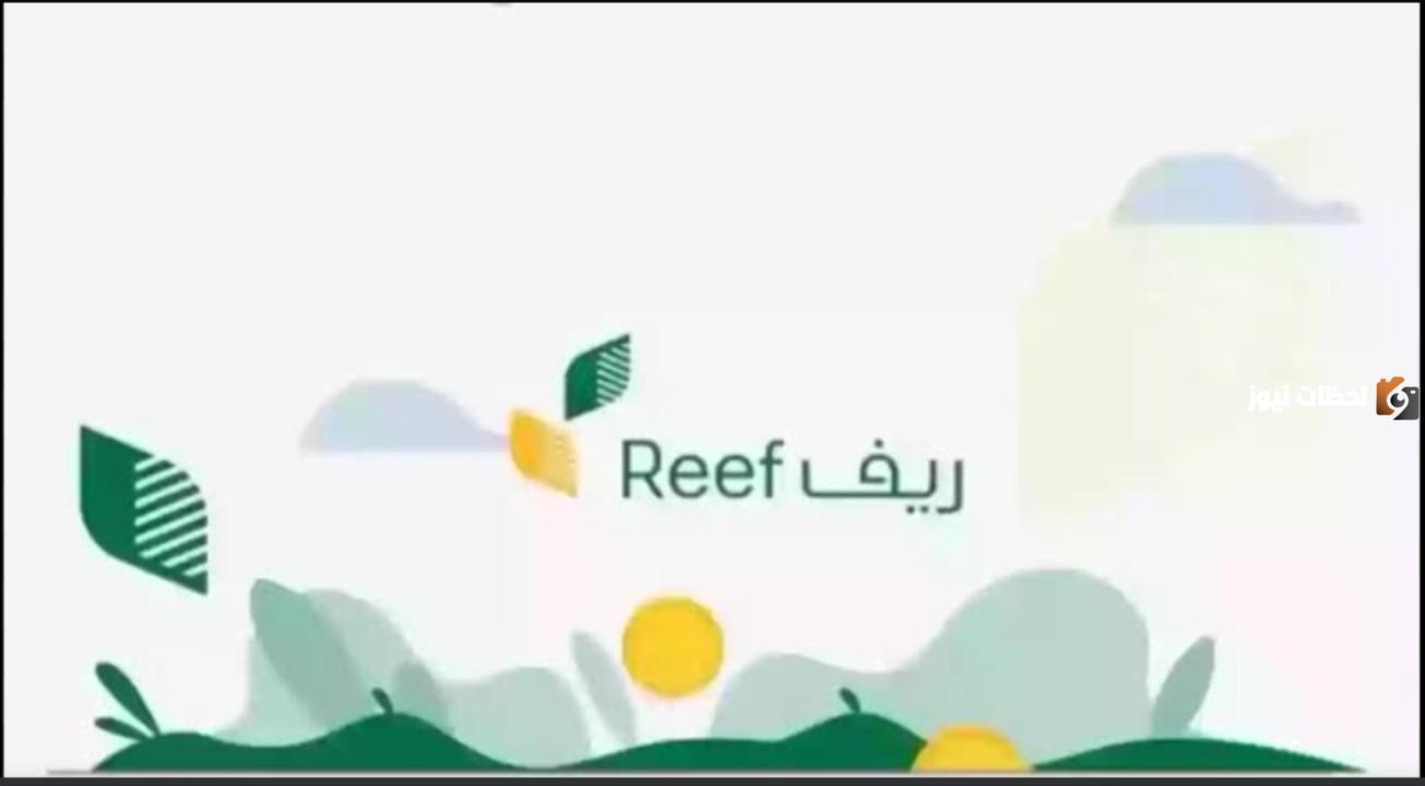 متطلبات دعم ريف للأسر المنتجة