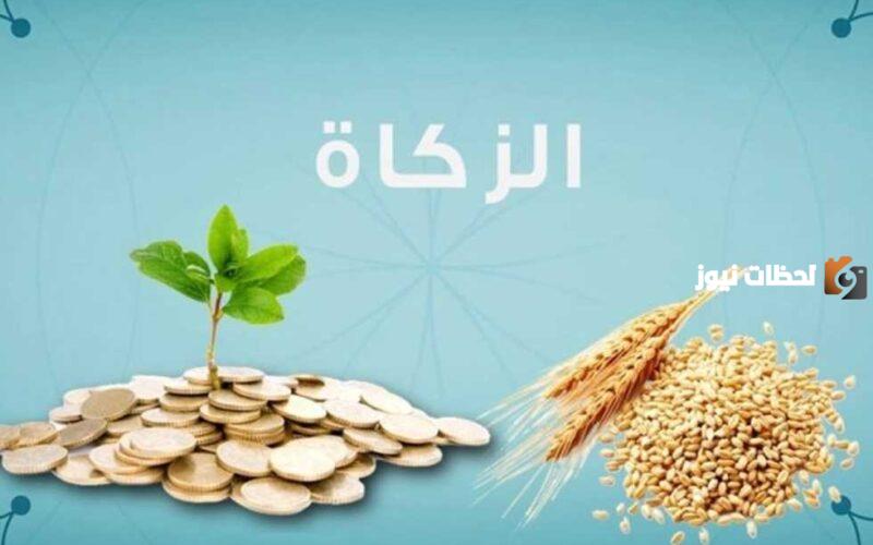 موعد بدء استقبال زكاة عيد الفطر وخطوات استخراج الزكاة عبر المنصة