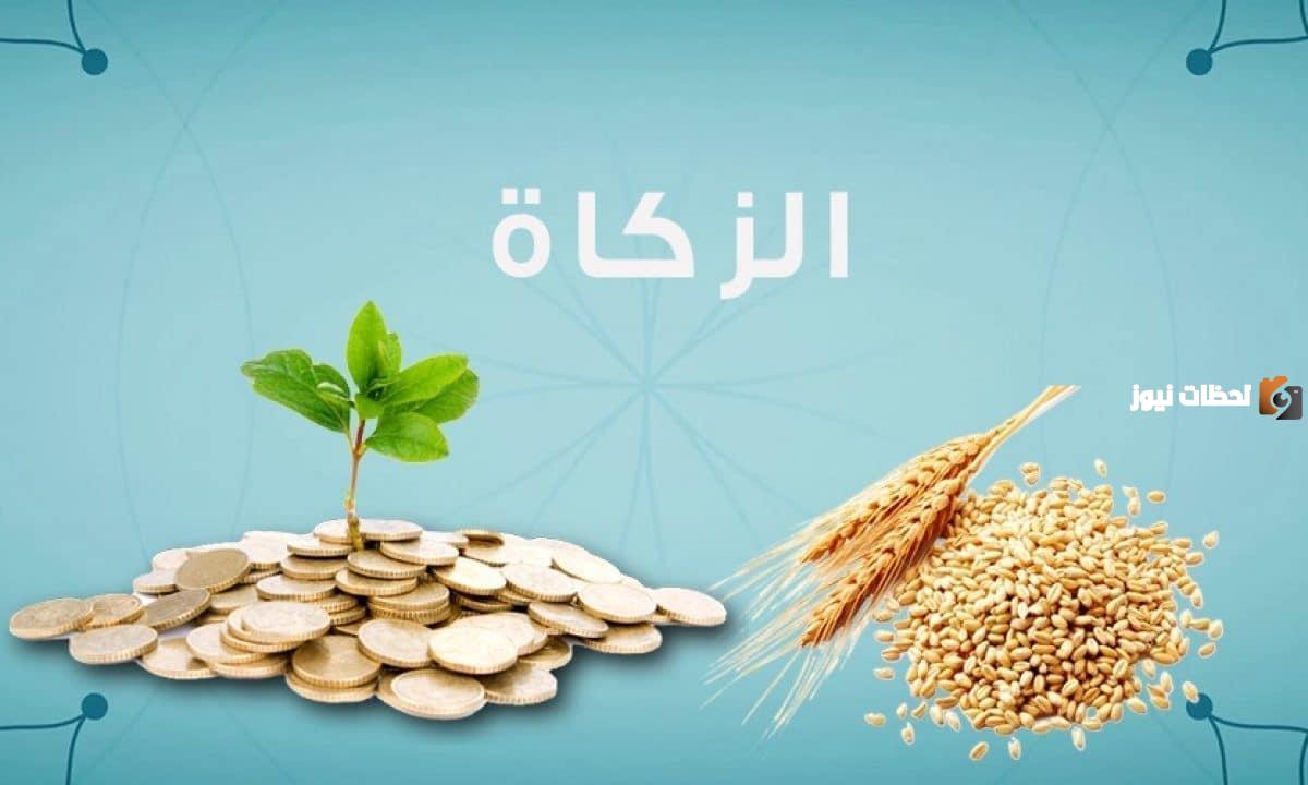 زكاة الفطر للفرد الواحد في قطر