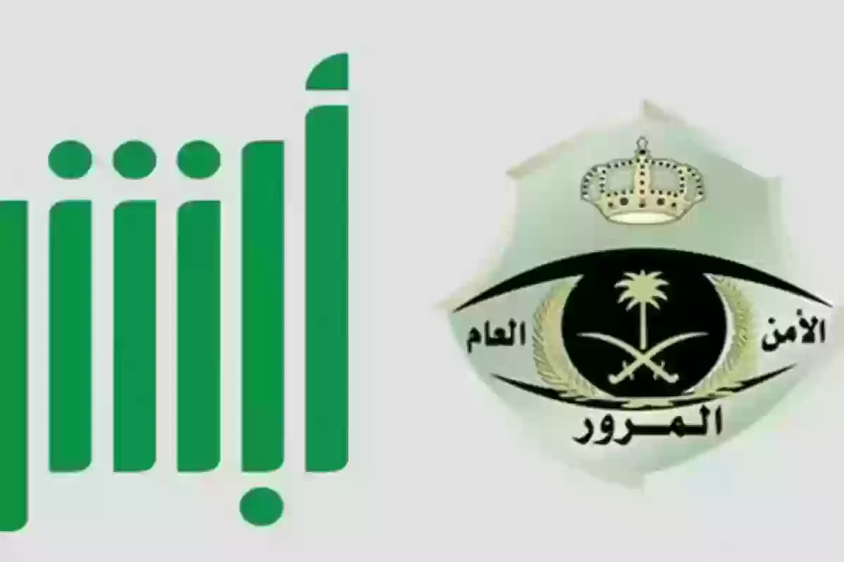 مخالفات مرورية 
