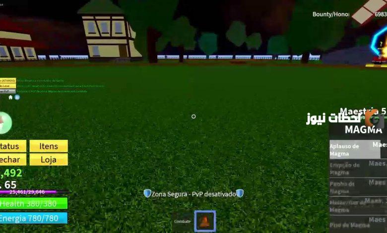 كودات بلوكس فروت