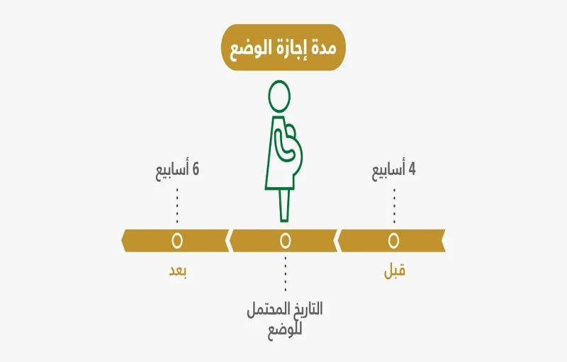 التعويض عن إجازة الوضع