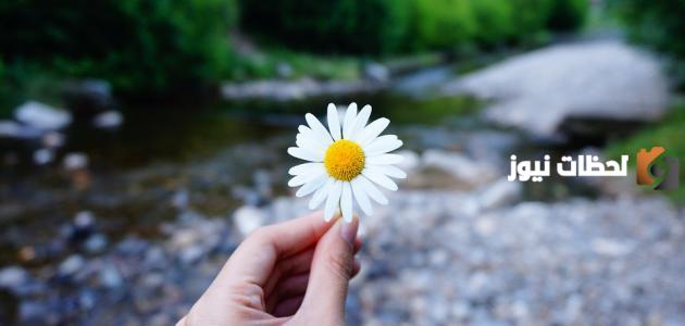 أجمل حكم واقوال عن الاخلاق