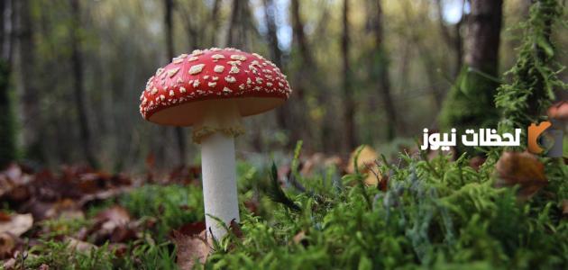 حكم نادرة وقوية عن الحياة